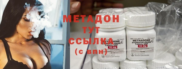 прущие грибы Киренск