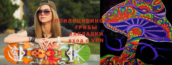 дурь Осташков