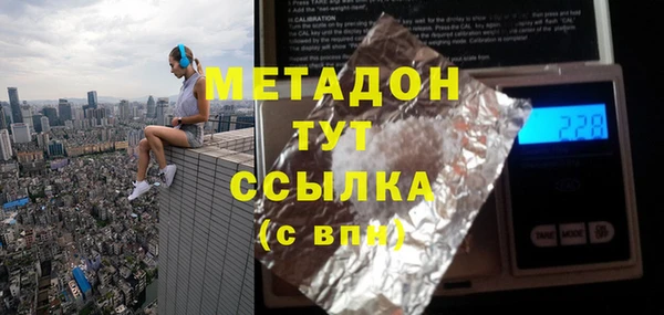 прущие грибы Киренск