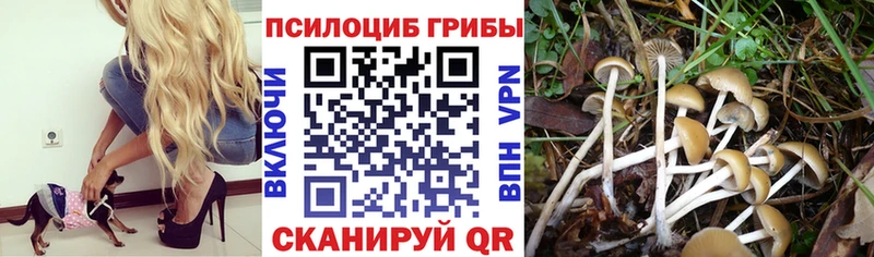 Псилоцибиновые грибы MAGIC MUSHROOMS  Электросталь 